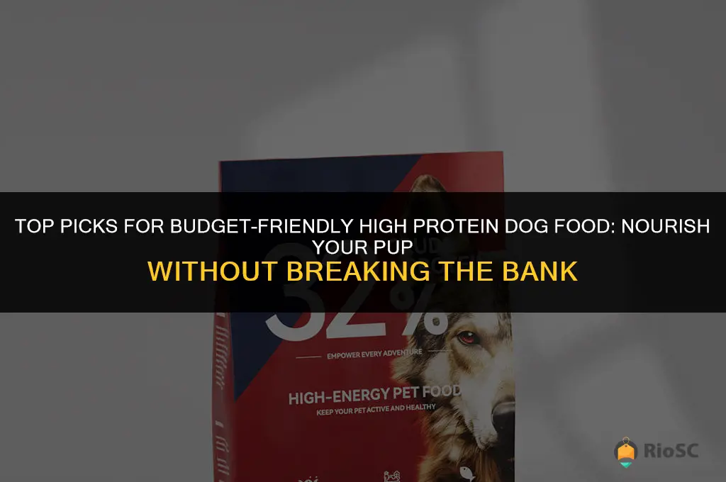 best affordable high protein dog food