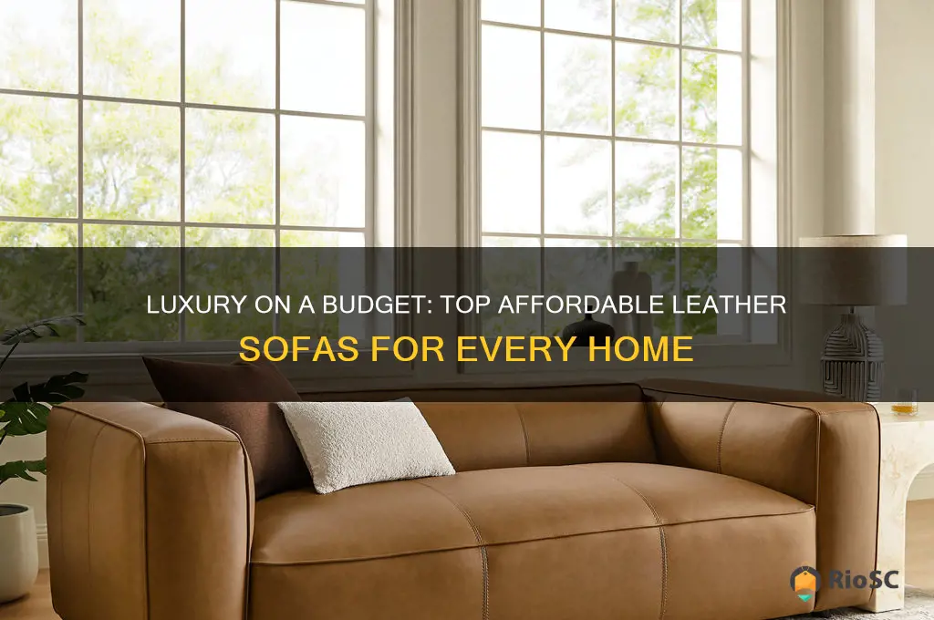 best affordable leather sofa