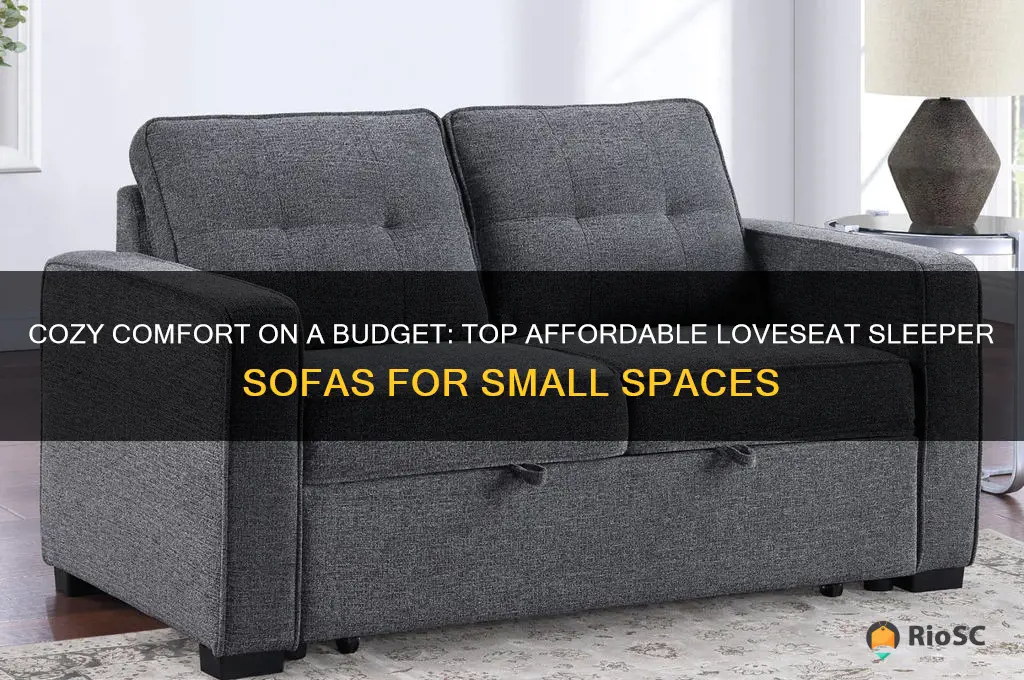 best affordable loveseat sleeper sofa