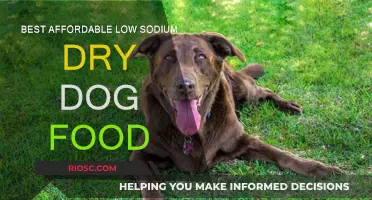 Top Picks for Budget-Friendly Low Sodium Dry Dog Food: Nourishing Your Pet Without Breaking the Bank