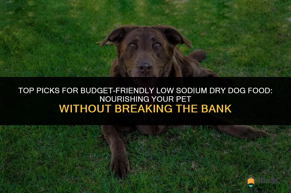 best affordable low sodium dry dog food