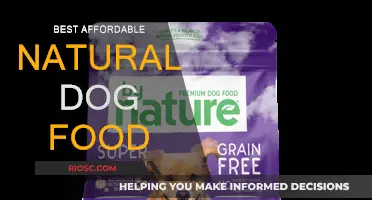 Top Picks for Budget-Friendly Natural Dog Food: Nourish Your Pet Without Breaking the Bank