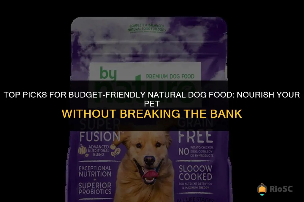 best affordable natural dog food