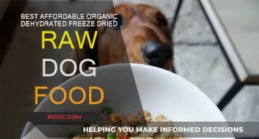 Top Picks for Budget-Friendly Organic Dehydrated and Freeze-Dried Raw Dog Food