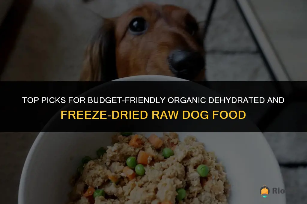 best affordable organic dehydrated freeze dried raw dog food