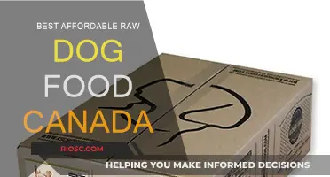 Top Budget-Friendly Raw Dog Food Options in Canada: A Comprehensive Guide