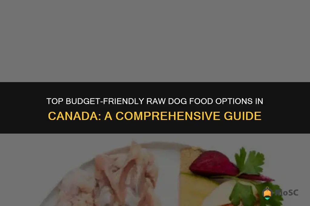 best affordable raw dog food canada