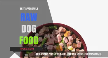 Affordable Raw Dog Food: Top Budget-Friendly Options for a Healthy Canine Diet