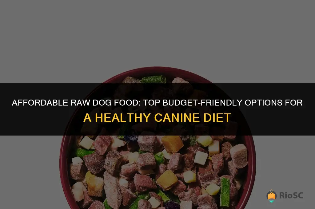best affordable raw dog food