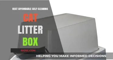 Affordable and Hassle-Free: Top Self-Cleaning Cat Litter Boxes for Every Budget