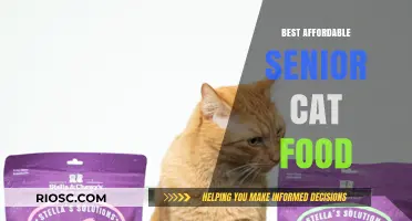 Top Picks for Budget-Friendly Senior Cat Nutrition: A Comprehensive Guide