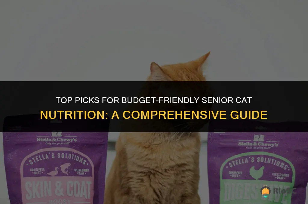 best affordable senior cat food