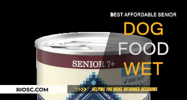 Top Picks for Budget-Friendly Wet Dog Food for Seniors