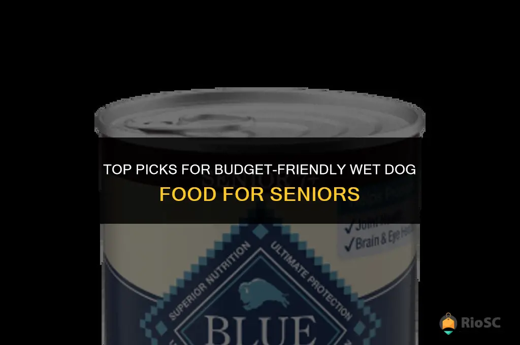 best affordable senior dog food wet