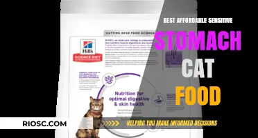 Top Picks for Budget-Friendly Sensitive Stomach Cat Food: A Comprehensive Guide