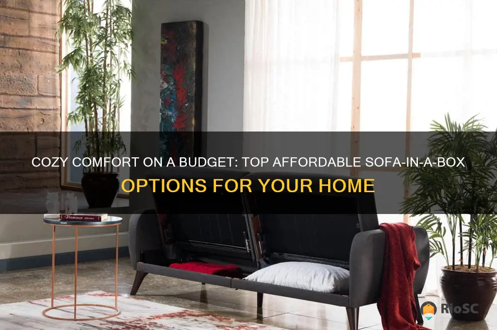 best affordable sofa in a box