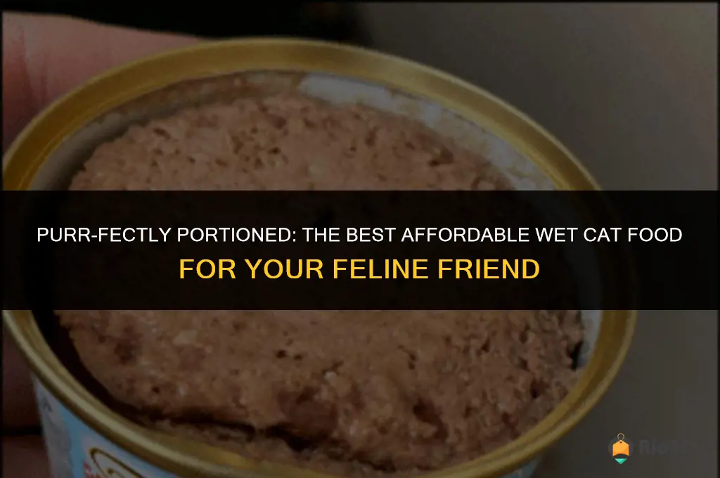 best affordable wet cat food in perfect portions pate