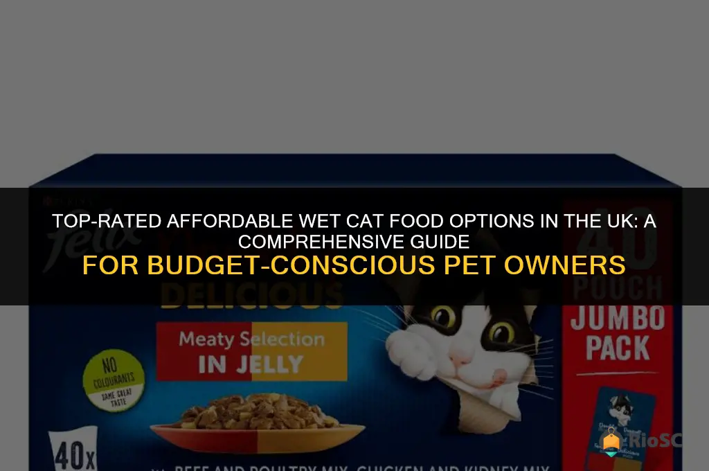 best affordable wet cat food uk