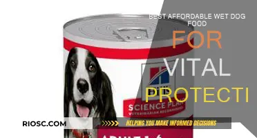 Top-Rated Affordable Wet Dog Food Options for Vital Health Protection