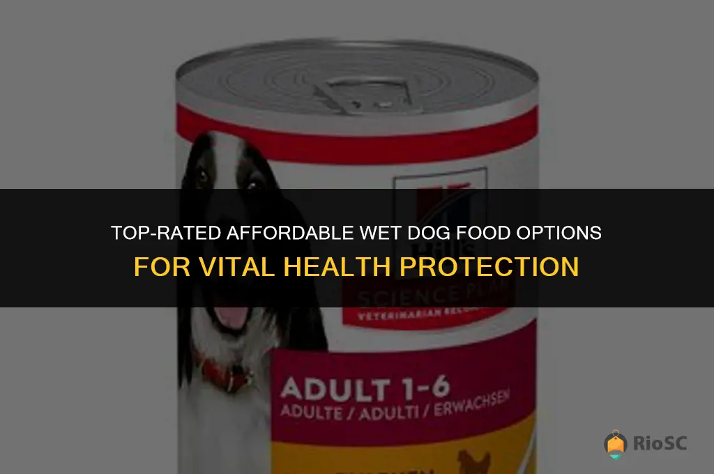 best affordable wet dog food for vital protection