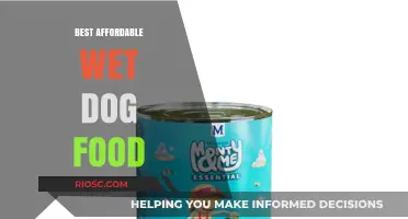 Budget-Friendly Bites: Top Affordable Wet Dog Food Options for Happy, Healthy Pups