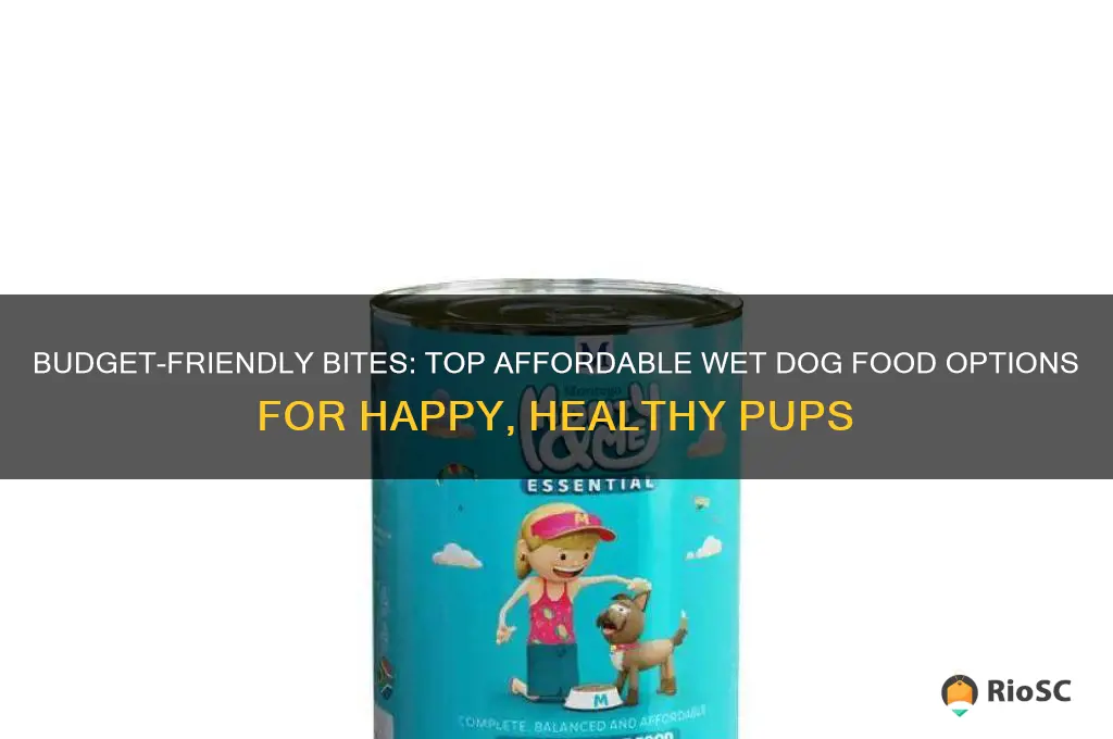 best affordable wet dog food
