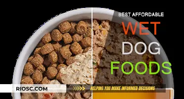 Top Budget-Friendly Wet Dog Foods: Nourishing Your Furry Friend Without Breaking the Bank