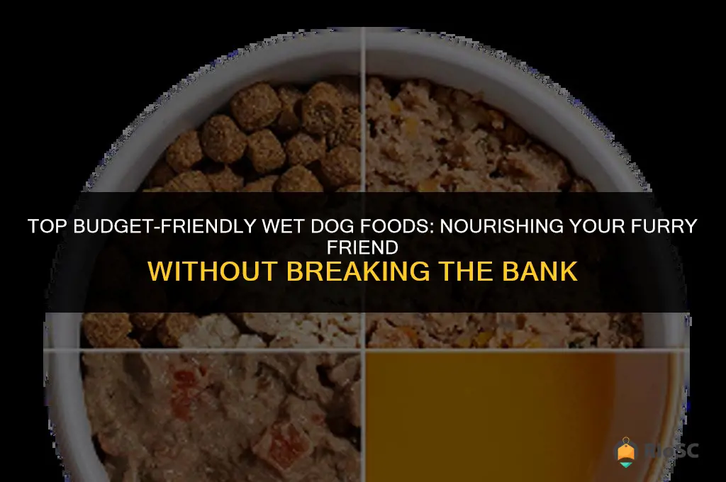 best affordable wet dog foods