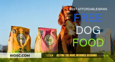 Top Picks for Budget-Friendly Grain-Free Dog Food: Nourishing Your Pup Without Breaking the Bank