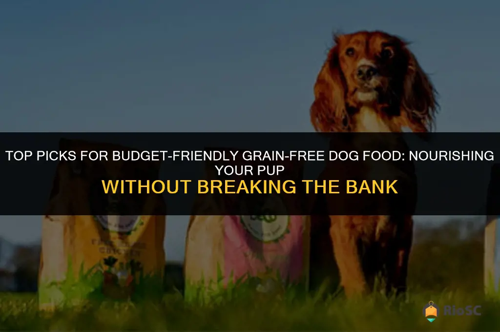 best affordablegrain free dog food