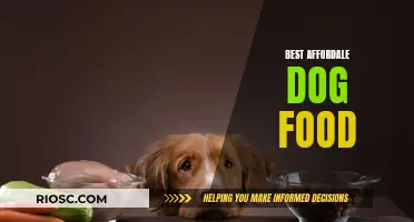 Top Picks for Budget-Friendly Dog Food: Nourishing Your Furry Friend Without Breaking the Bank