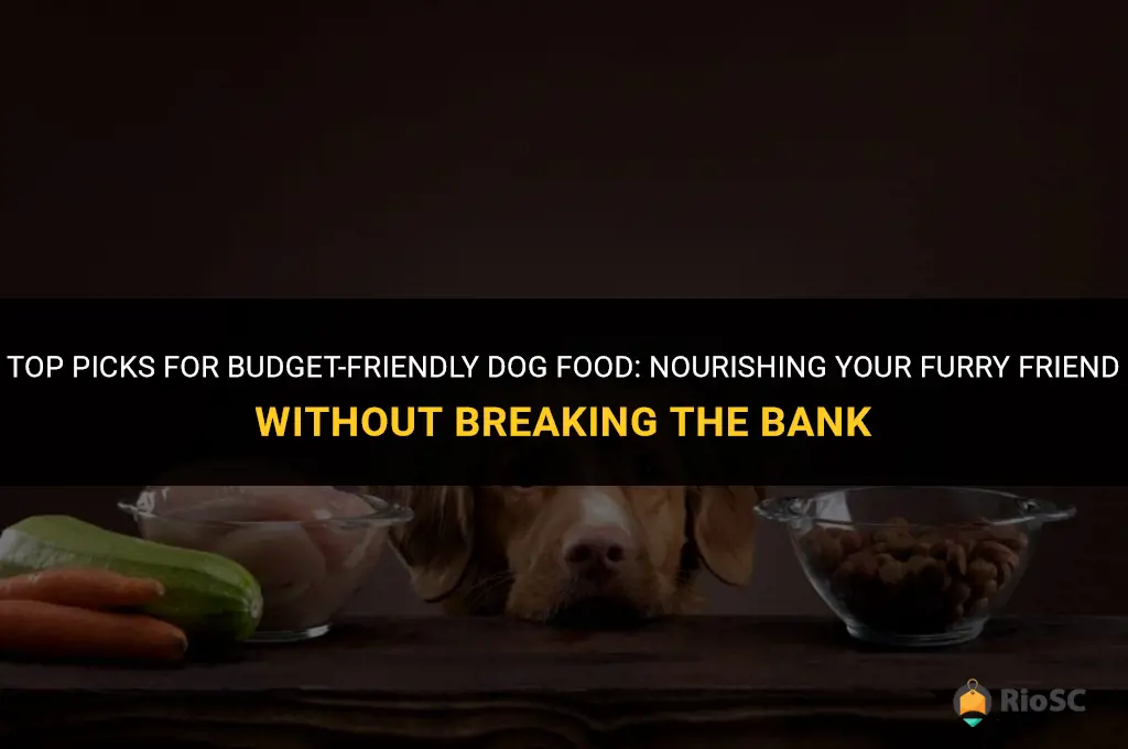 best affordale dog food