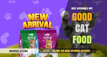 Purr-fectly Priced: Top Affordable Cat Food Options That Don't Skimp on Quality