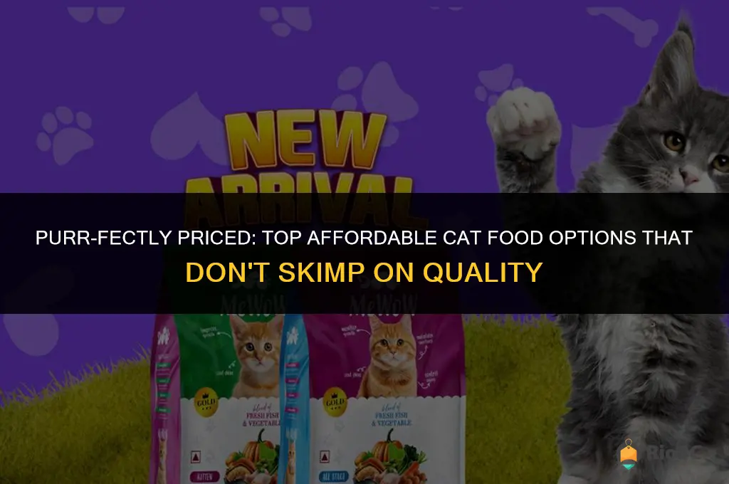 best affordble hut good cat food