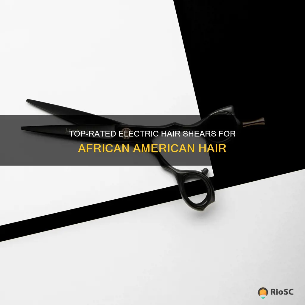 best african american elctric hair sheers