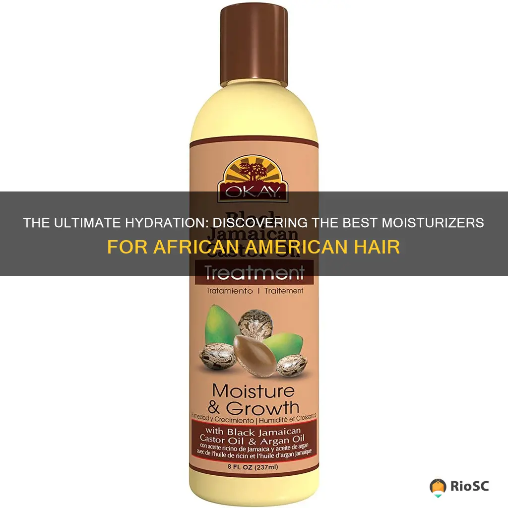 best african american hair moisturizers