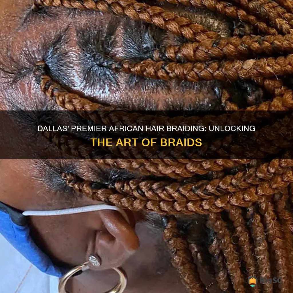 best african hair braiding in dallas tx