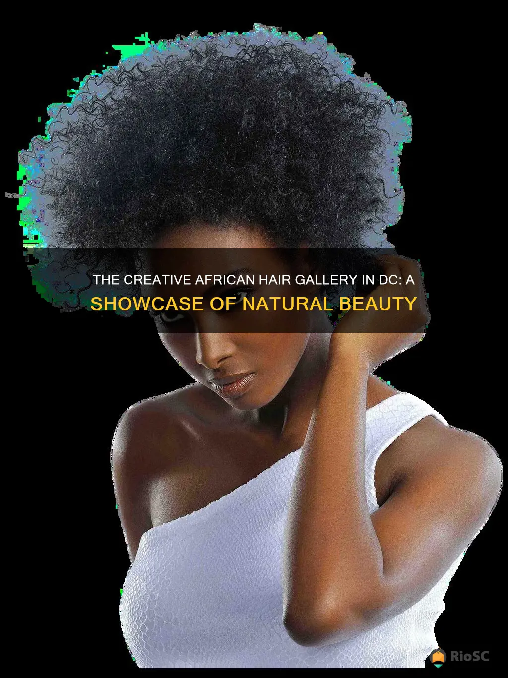 best african hair gallery in dc