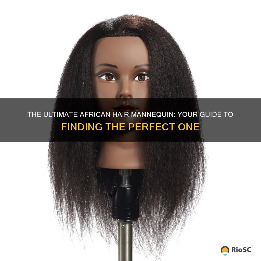 best african hair mannequin