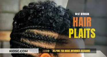 African Roots, Global Trends: Exploring the Art of Hair Plaiting