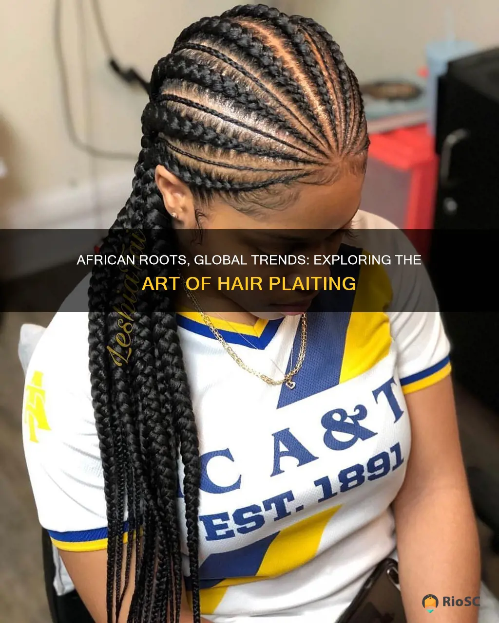 best african hair plaits