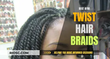 Afro Twist Braids: The Ultimate Guide to This Hair Trend