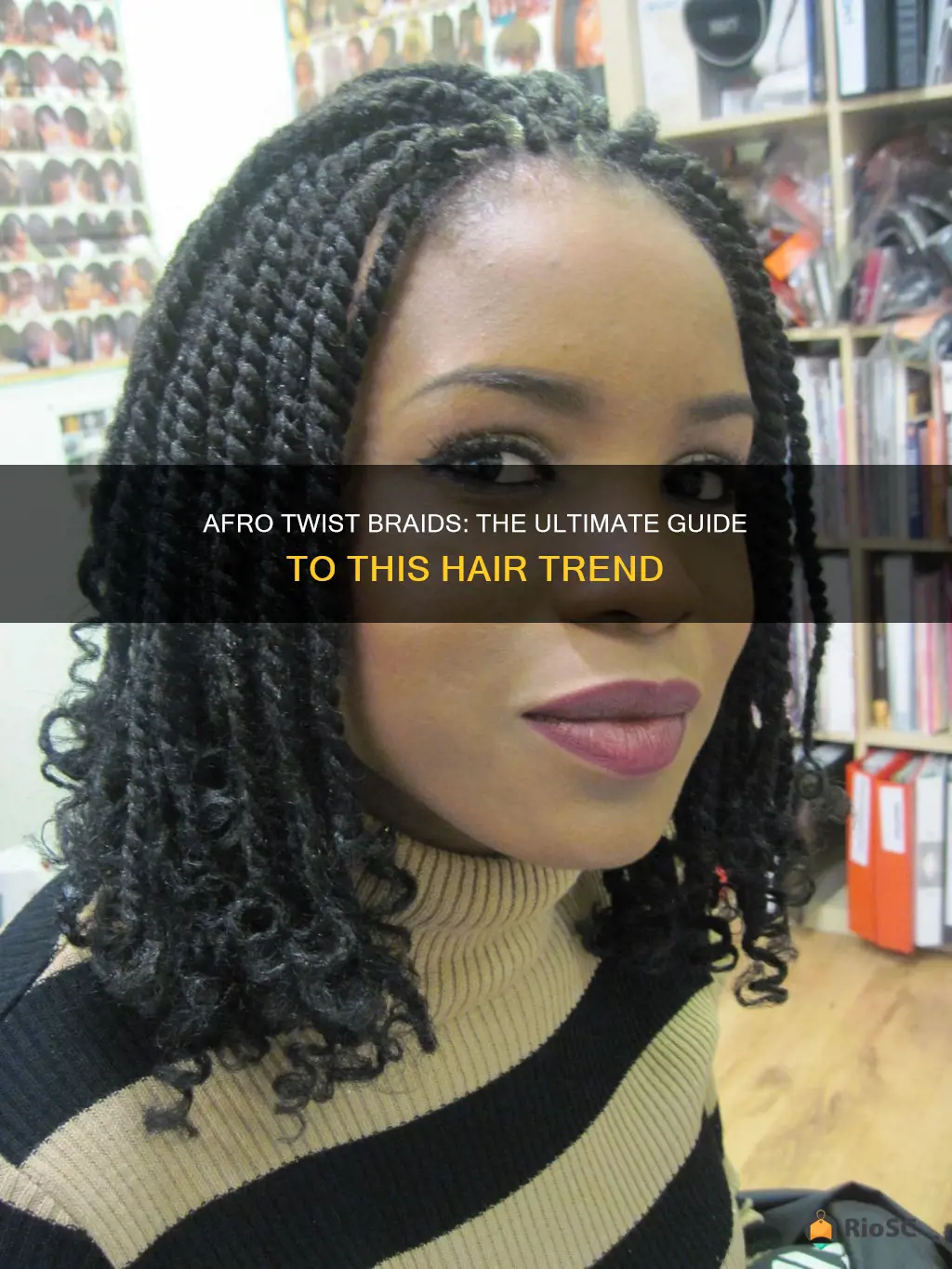 best afro twist hair braids