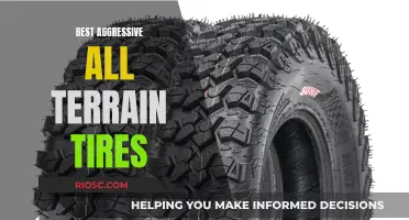 Unleashing the Beast: Aggressive All-Terrain Tires for the Ultimate Off-Road Adventure