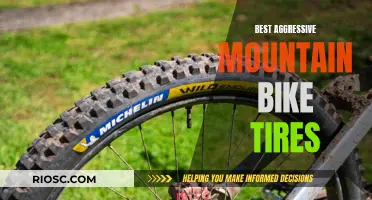 Unleash Your Mountain: Top Aggressive Tires for Ultimate Grip and Control