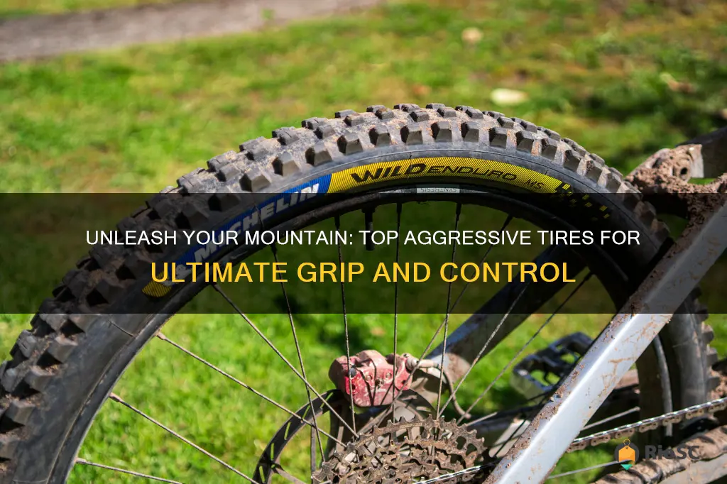 best aggressive mountain bike tires