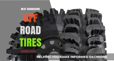 Top Aggressive Off-Road Tires for Extreme Terrain Domination