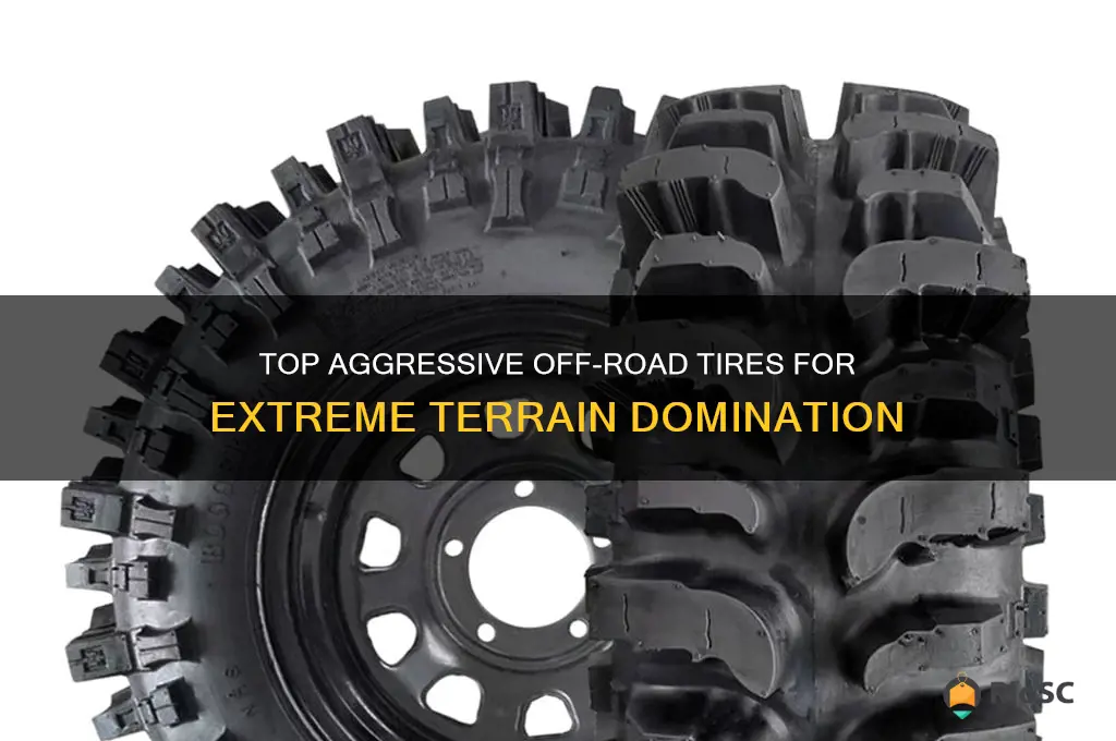 best aggressive off road tires