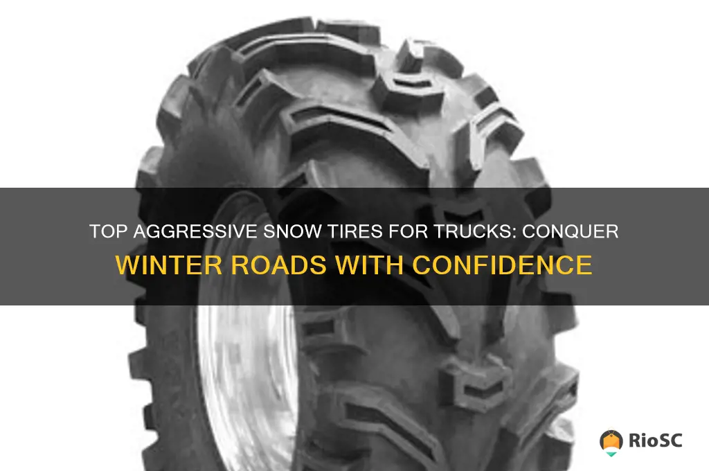 best aggressive snow tires for trucks