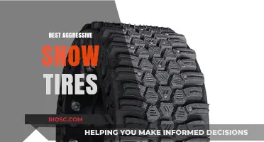Top Aggressive Snow Tires: Unmatched Traction for Winter Warriors